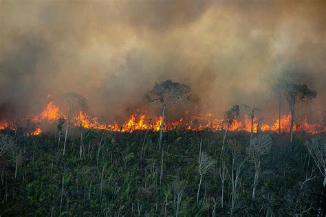 Terra Queimada 2025