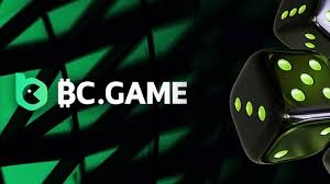 Explore Exciting Opportunities with BC Fun Top Explore Exciting Opportunities with BC Fun Top